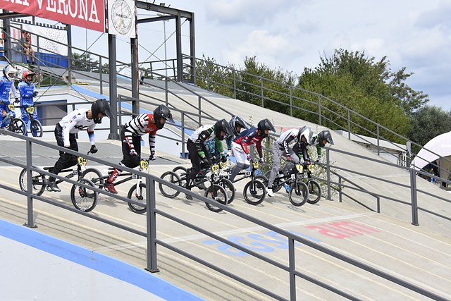 _DSC4221.JPG
