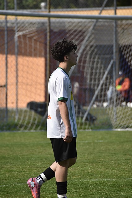 _DSC0120.JPG