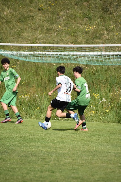 _DSC0106.JPG