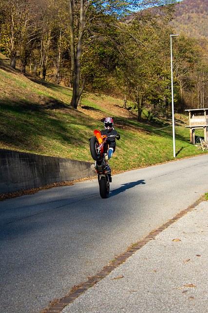 _DSC2007.jpg