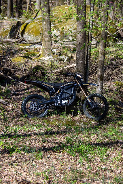 _DSC9507.JPG