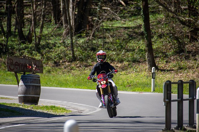 _DSC9517.JPG