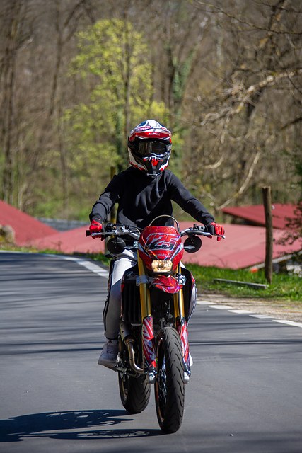 _DSC9559.JPG