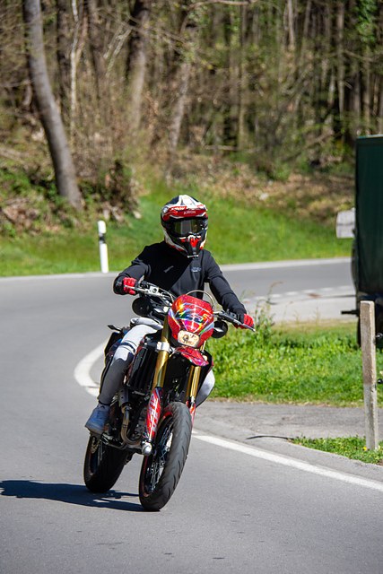 _DSC9595.JPG