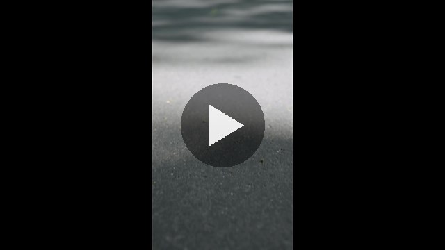 CARCIFO0621_1.mp4